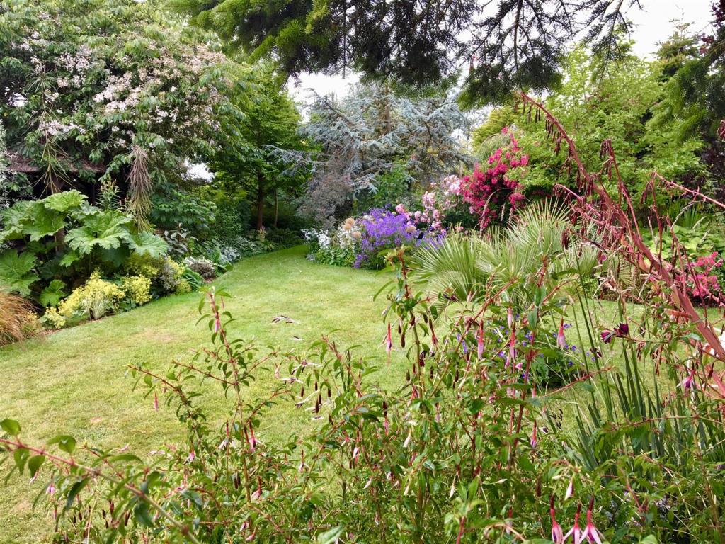 Rear garden, 54 Hollym Road (2).jpg