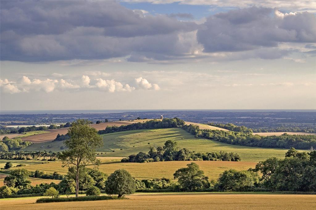 South Downs N. Park