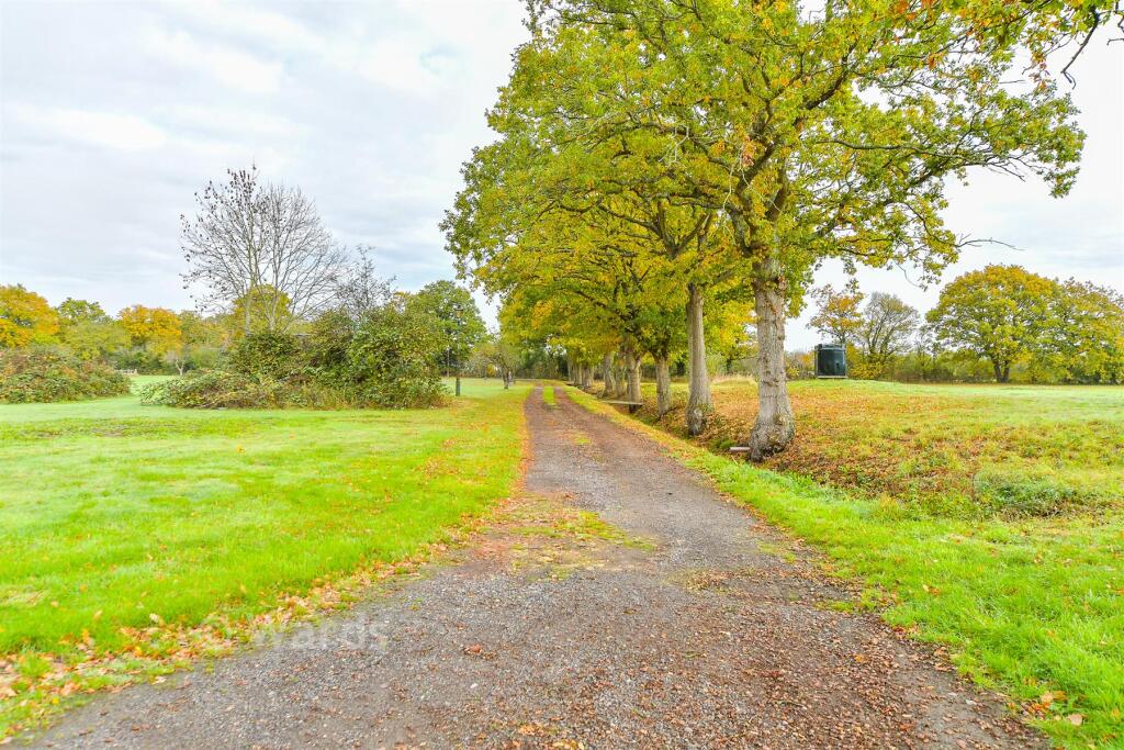 Driveway/Parking