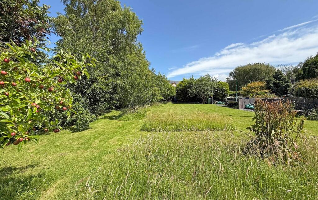 Picture No. 06