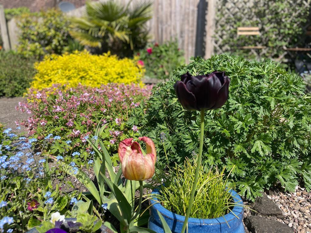 Pretty gardens to enjoy