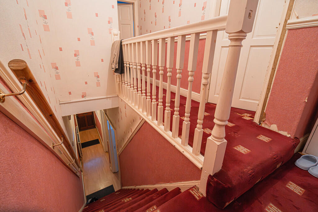 20251126-DSC07323...