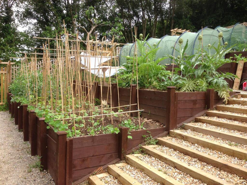 Vegetable Beds.jpeg