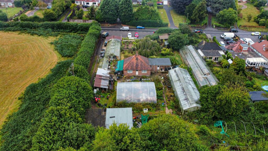 Photo 19-08-2024, 13 57 49 (27)_Alto.jpg