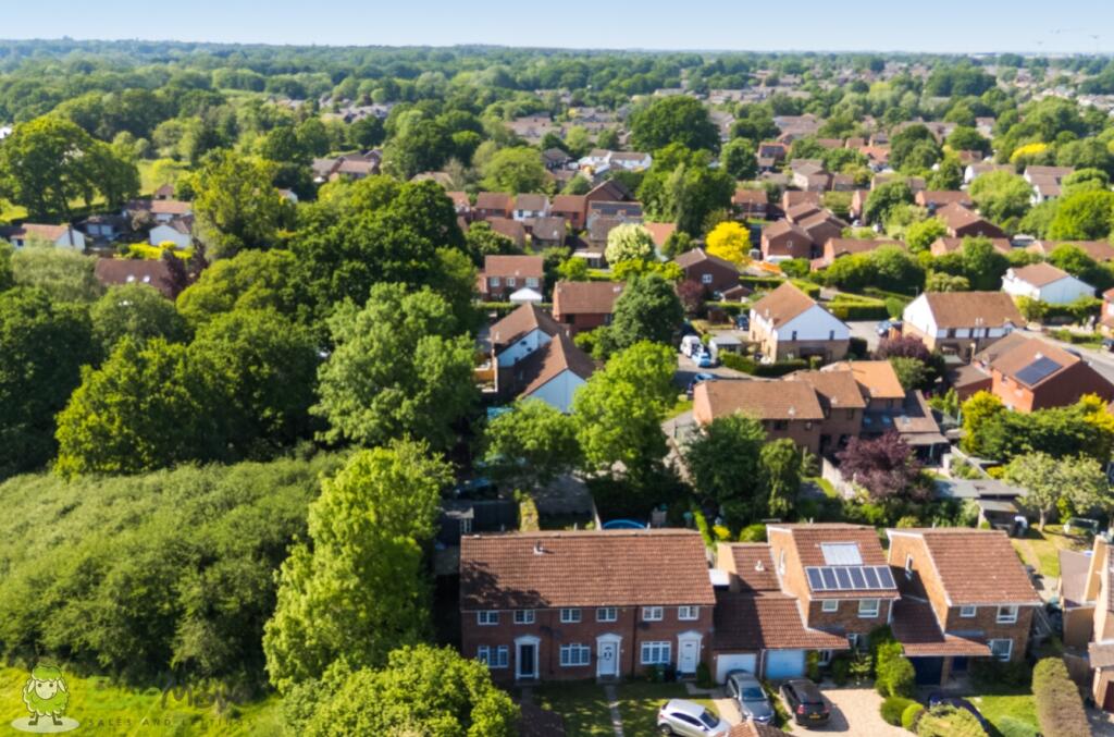 Drone Views