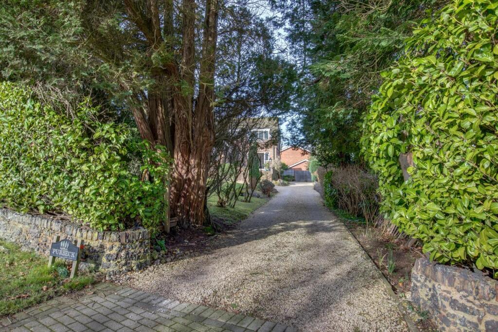 Driveway