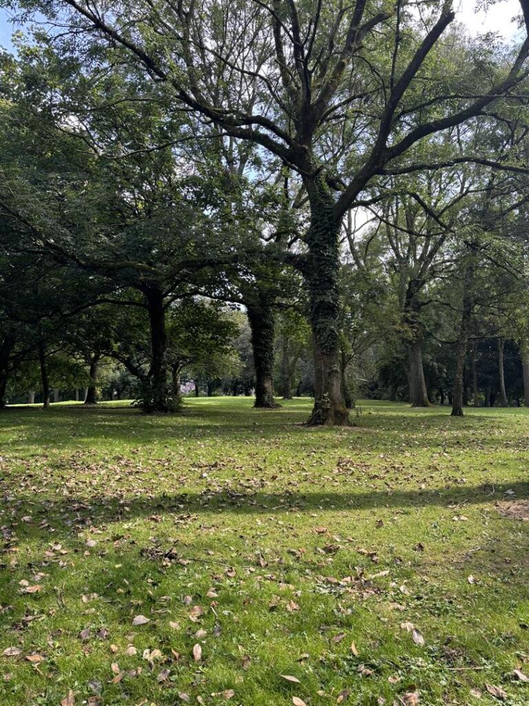 Buile Hill Sept.JPEG