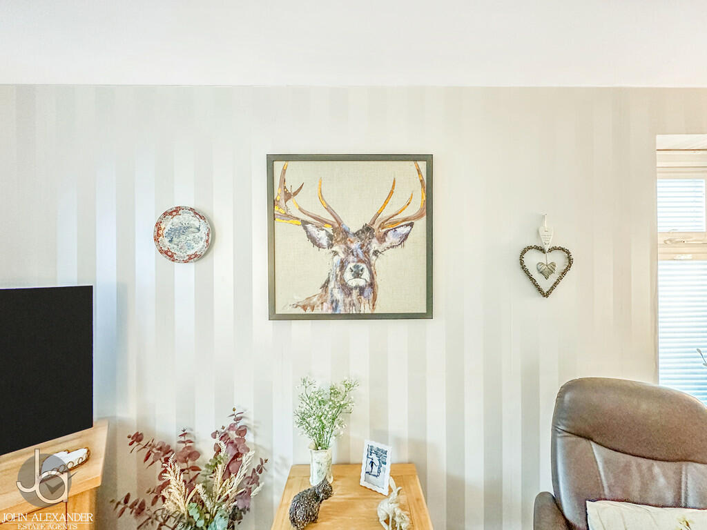 20241126_14325751...