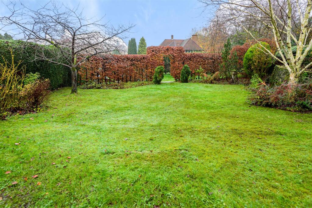 Garden.jpg
