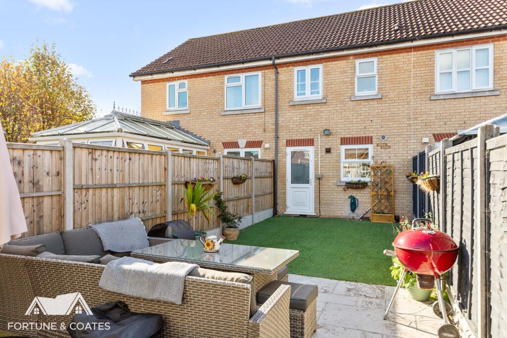 SheldonClose_5.jpg