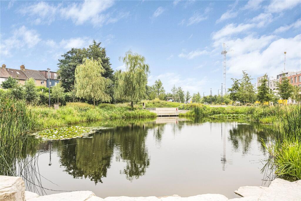Pond