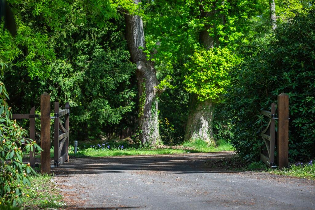 Driveway