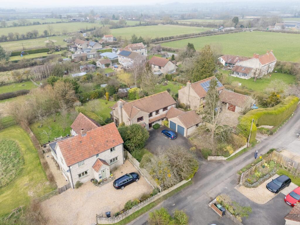 TEK HiRes 250310 008.jpeg