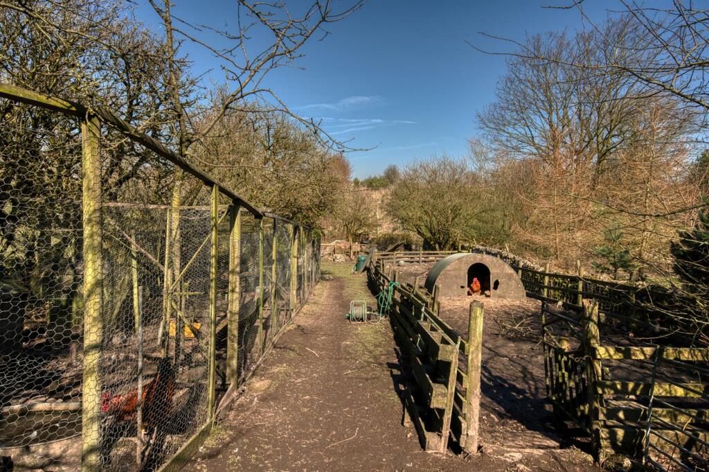 DSC_5343_hdr.jpg