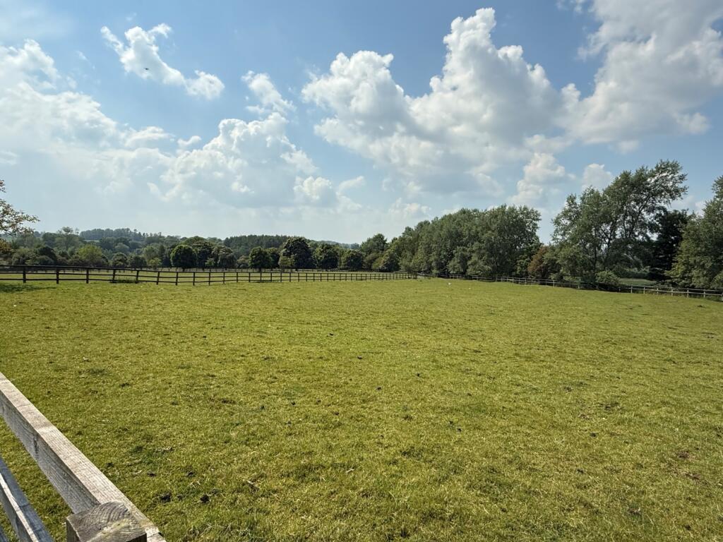 meadow view paddock 1