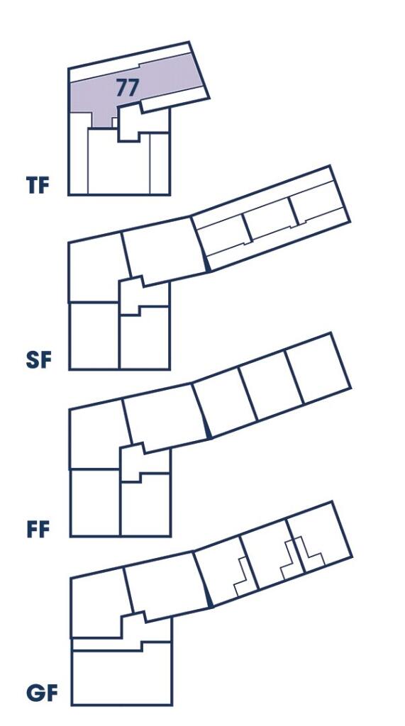 Site Layout