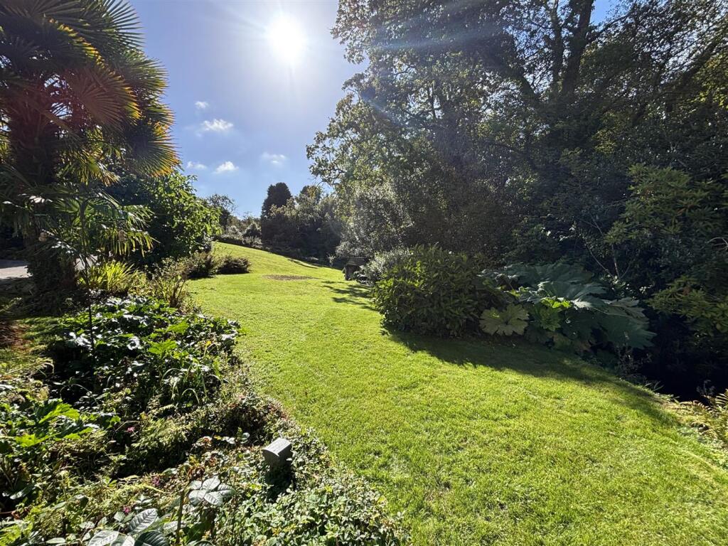 Front garden.jpeg