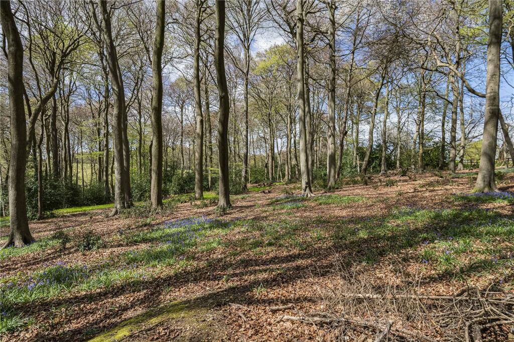 Woodland