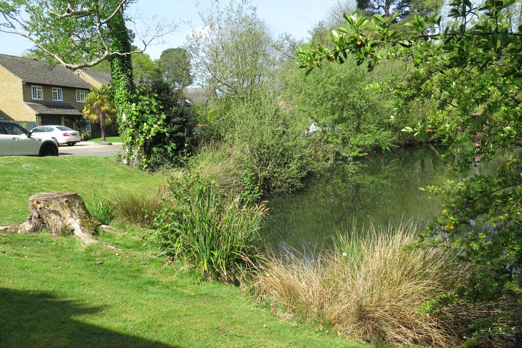Nearby Blackmoor Pond