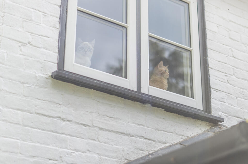 1359491-32-68dab7...