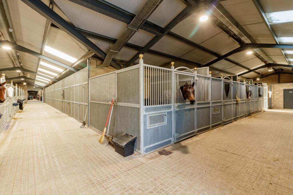 Willowsway Stud,_85-web.jpg