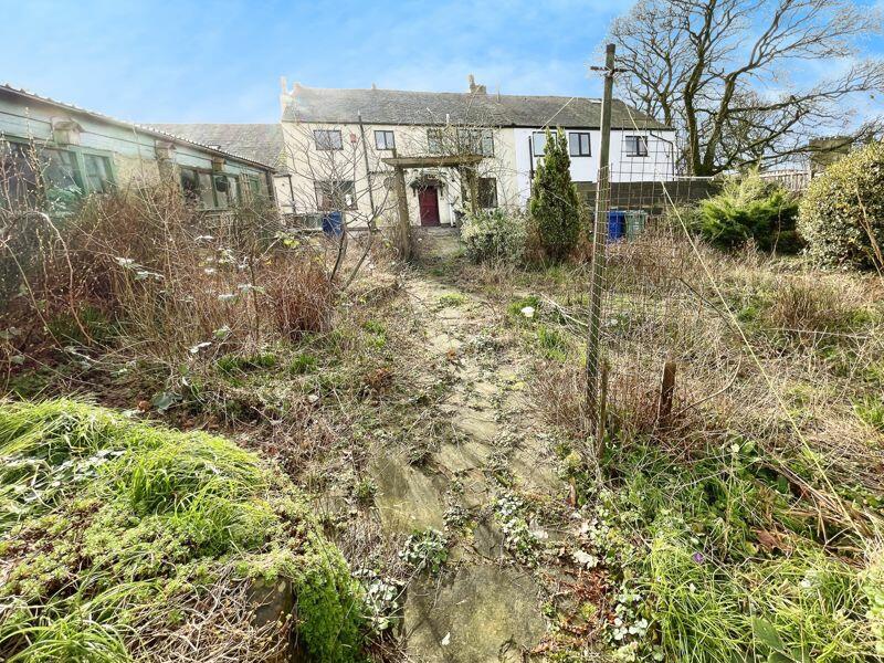 View From Garden Room