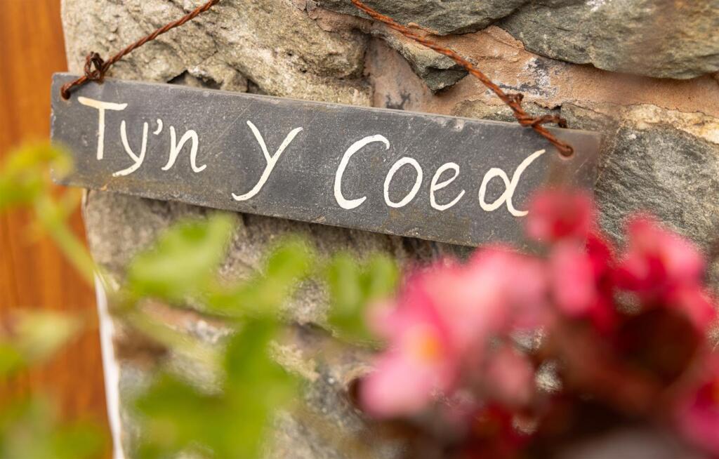 tyn_y_coed_047.JPG