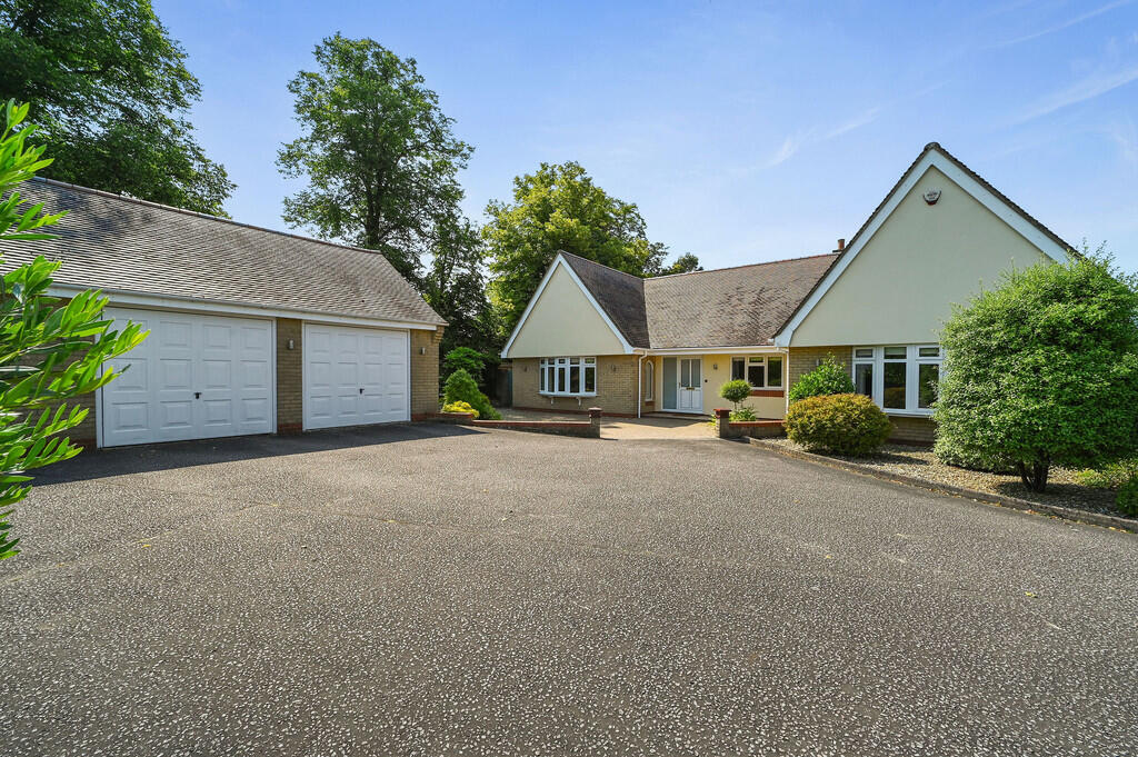 PT-DB(WP)-Brindle...