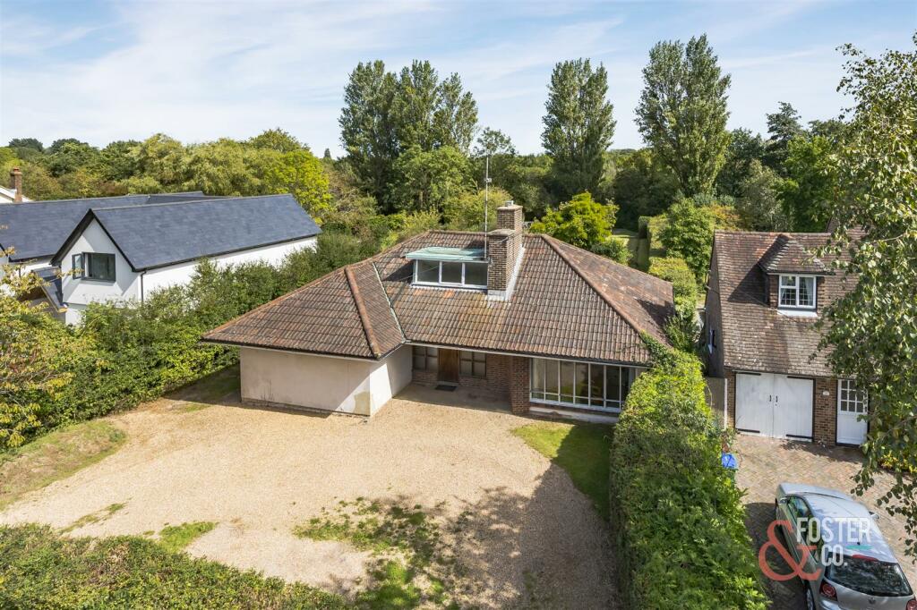 Shirleyss - Foster&amp;Co-2.JPG