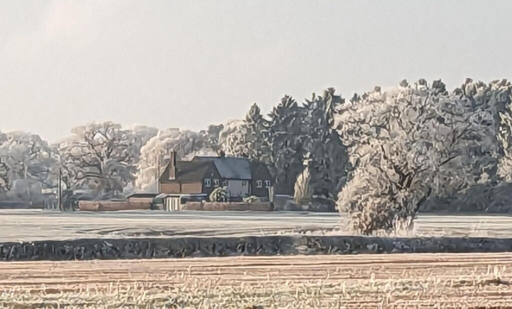 View of front from afar