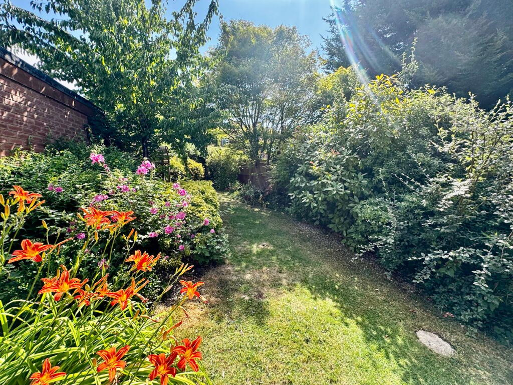 Shrubs and Plants