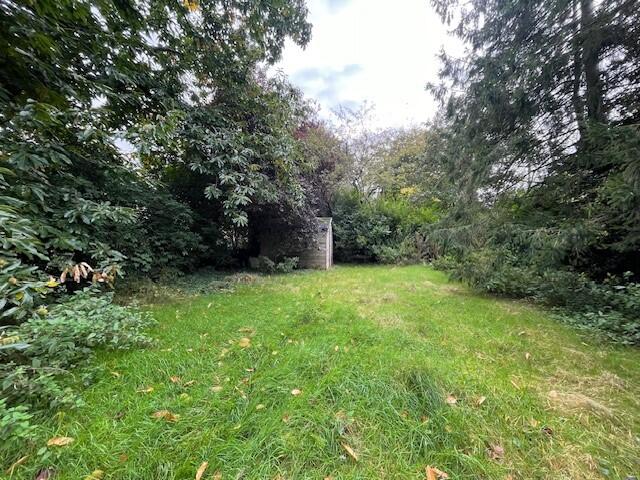 17 T202410251700.jpg