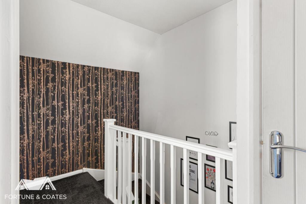 StAndrewsMeadow_4.jpg