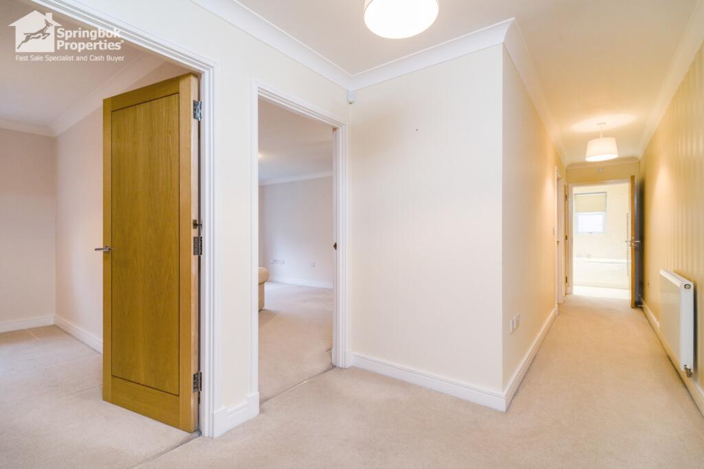 IMAGE 7
