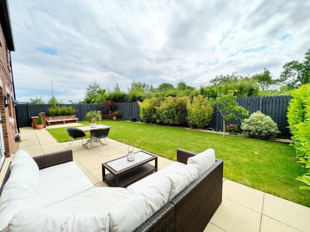 Garden pic 5.jpg