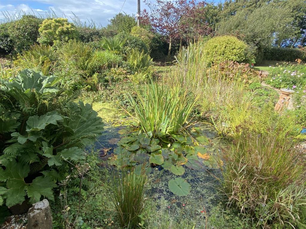 new pond.JPG