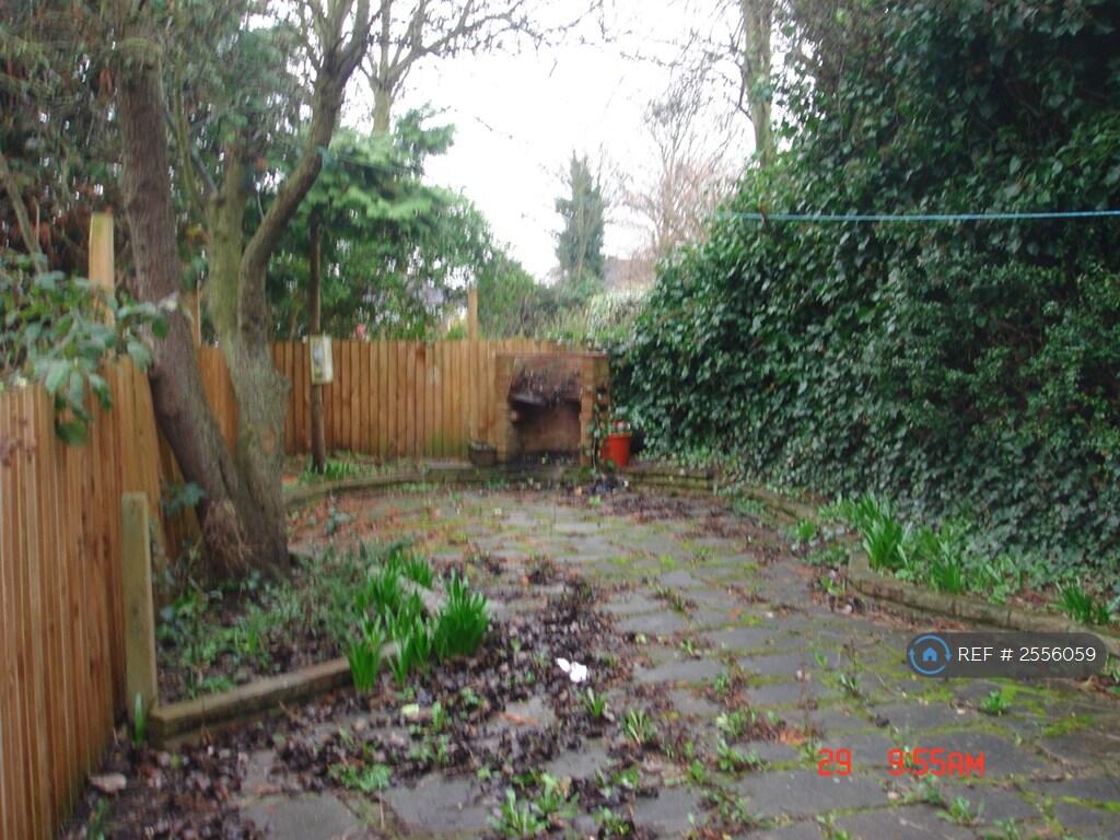 Back Garden