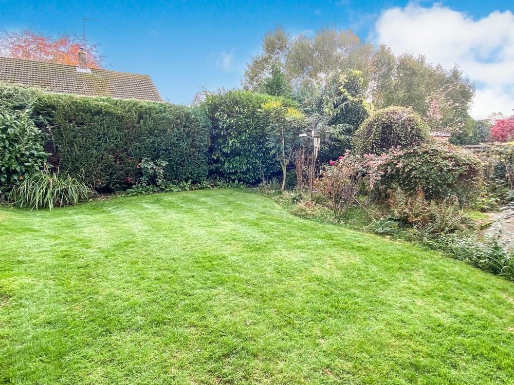 garden.jpg