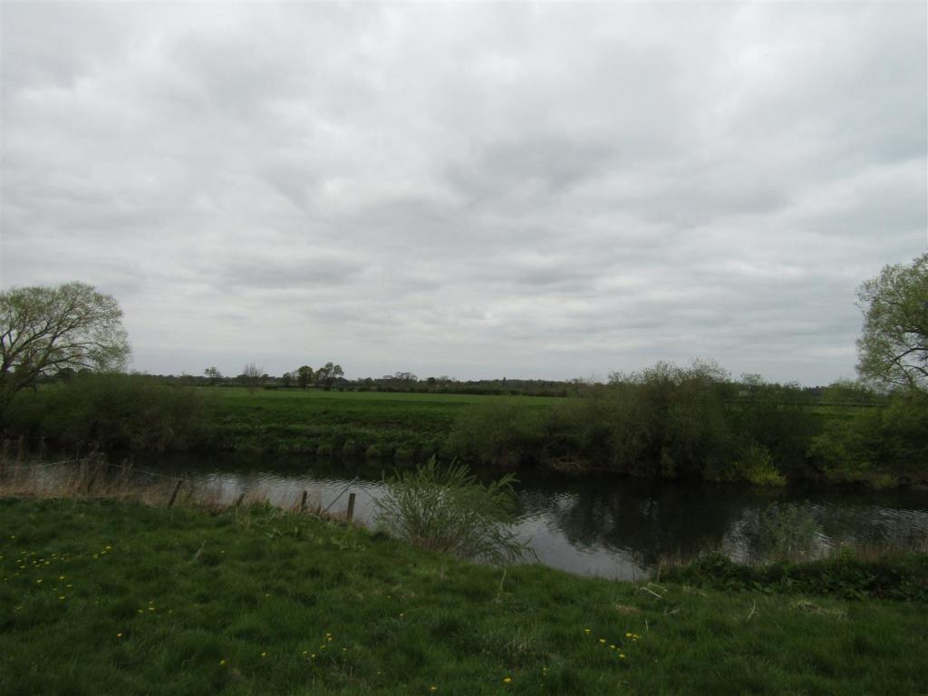 IMG_3786.JPG