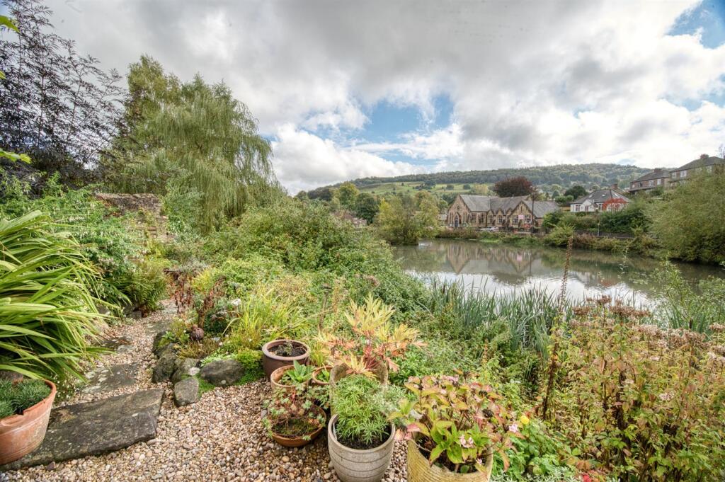 Garden - pot plants by the water's edge.jpg