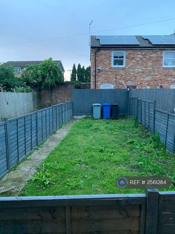 Rear Garden (View From Back Door)