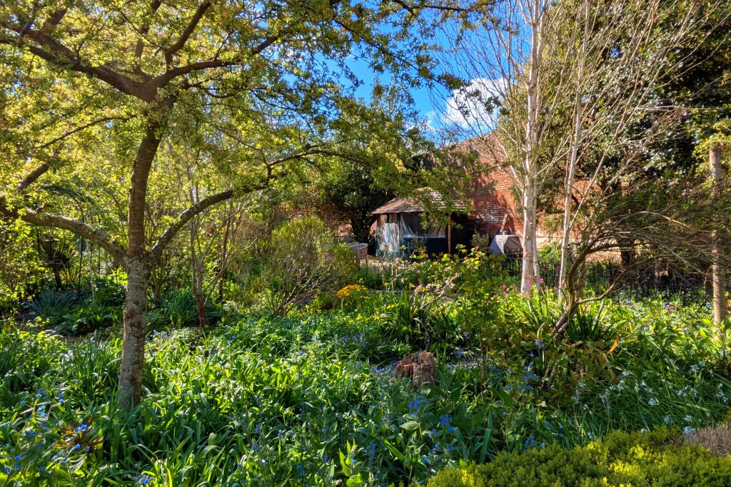 pond to breeze house