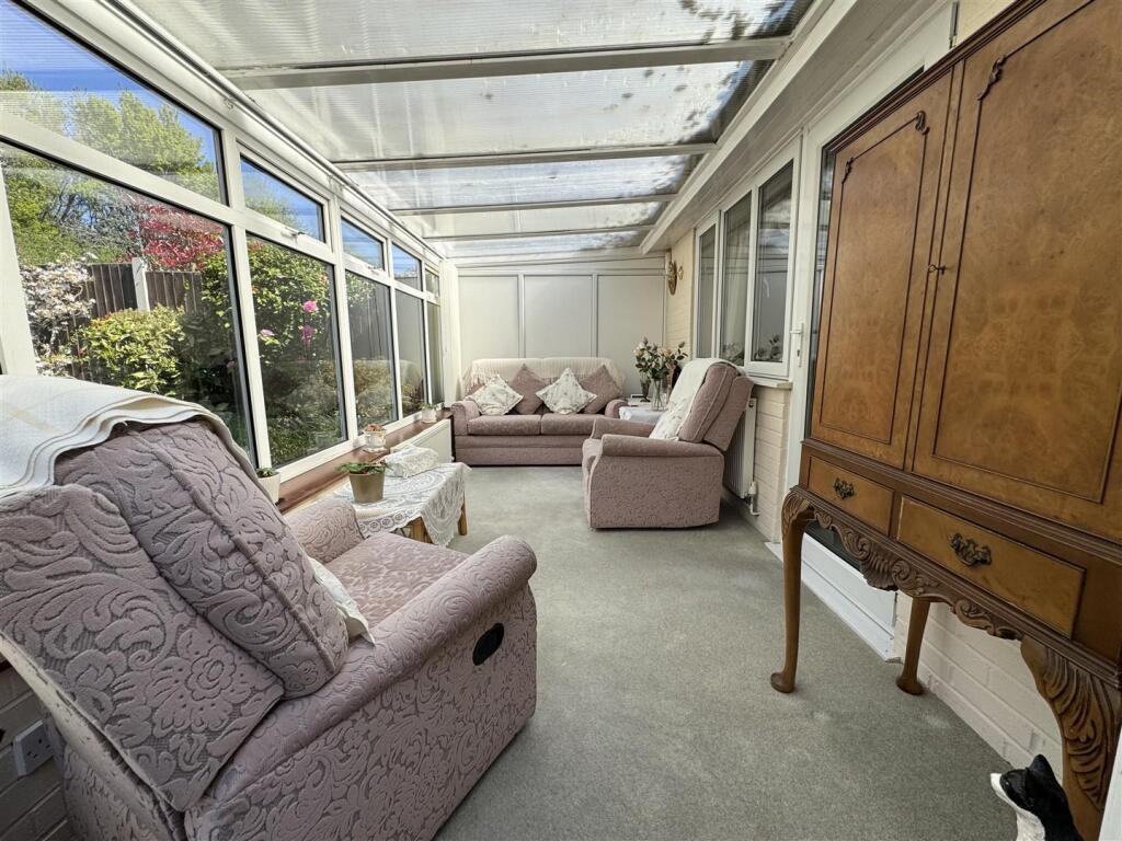 IMG_1242 (Large).JPG