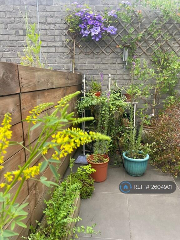 Balcony June 2025