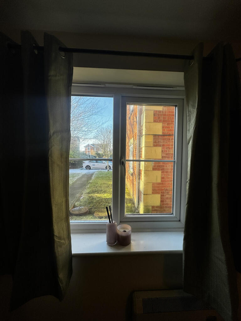 thelemsblckplIMG_0891.jpg