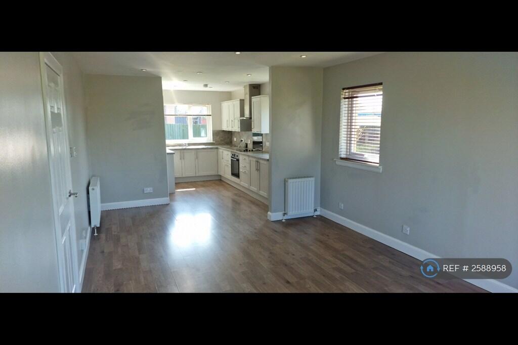 Lounge / Dining / Kitchen
