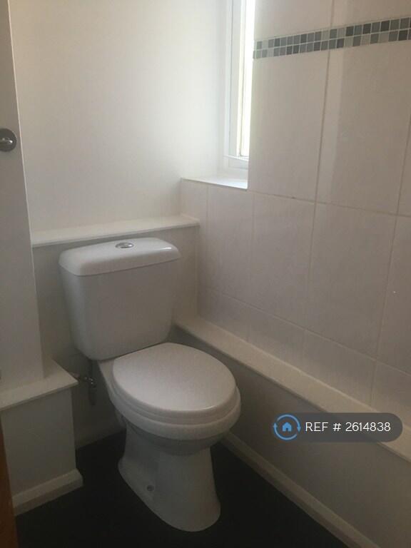 Shower Room 3