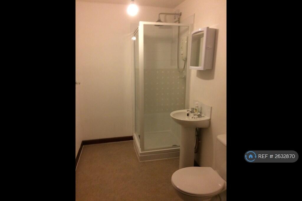Modern Shower Room