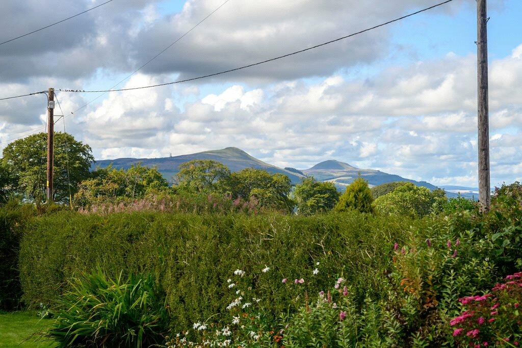 View To Lomond Hills