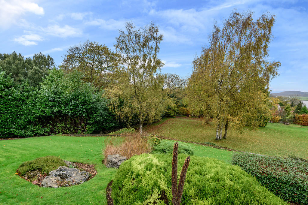 Communal Gardens